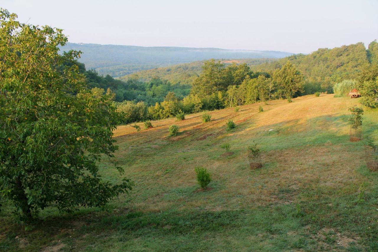 Grožnjan Bolara 60: The Cottage מראה חיצוני תמונה